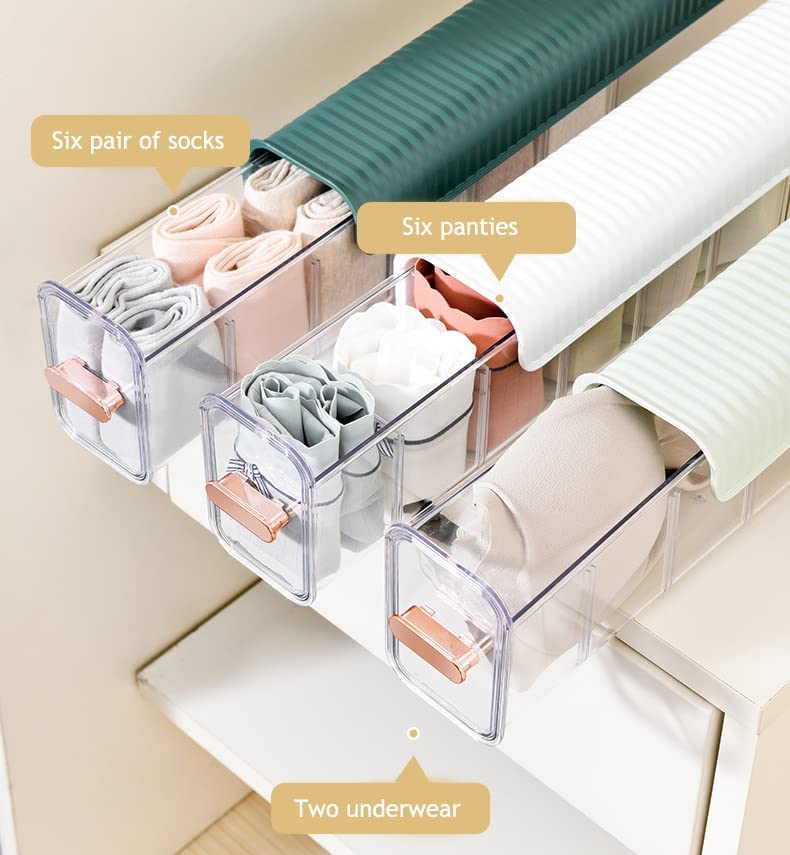 6 CELL SOCKS ORGANIZER