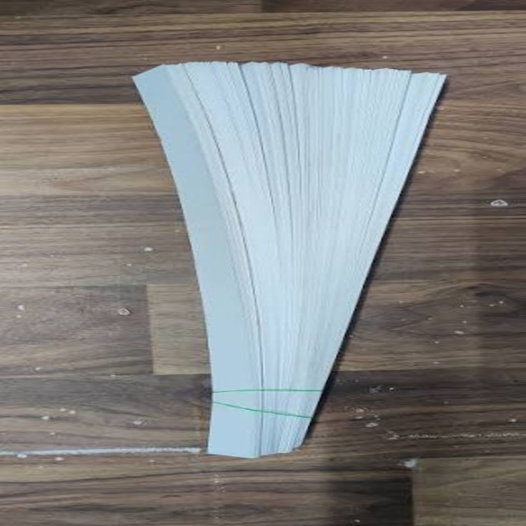 Paper Patti