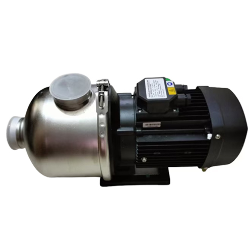 SS Dome Type Pump