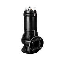 Light Duty Sewage Submersible Pump