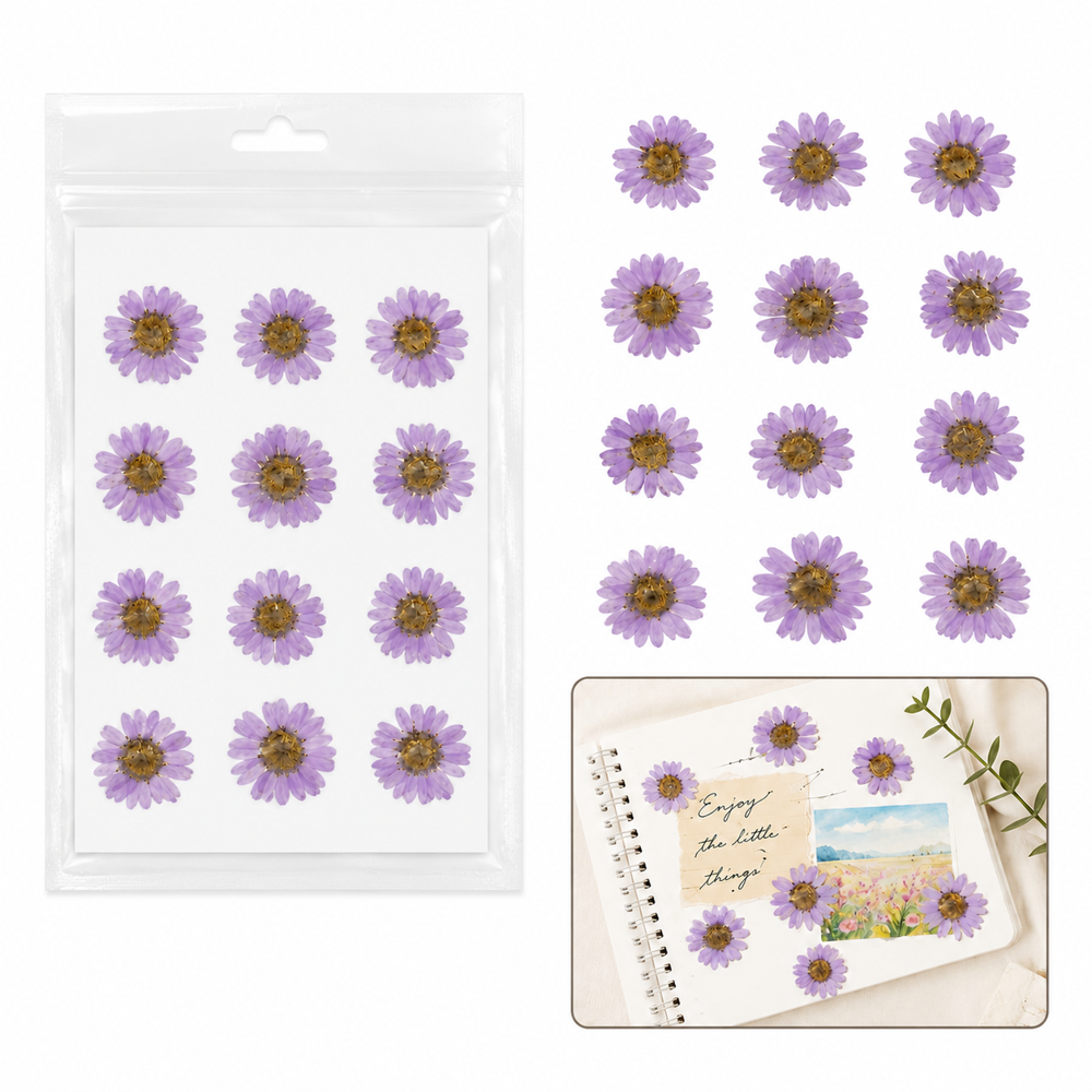 Dried Daisy Flowers