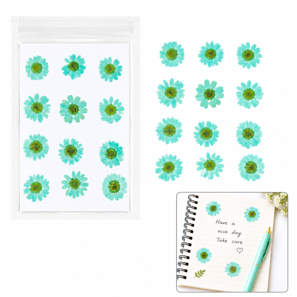 Dried Daisy Flowers