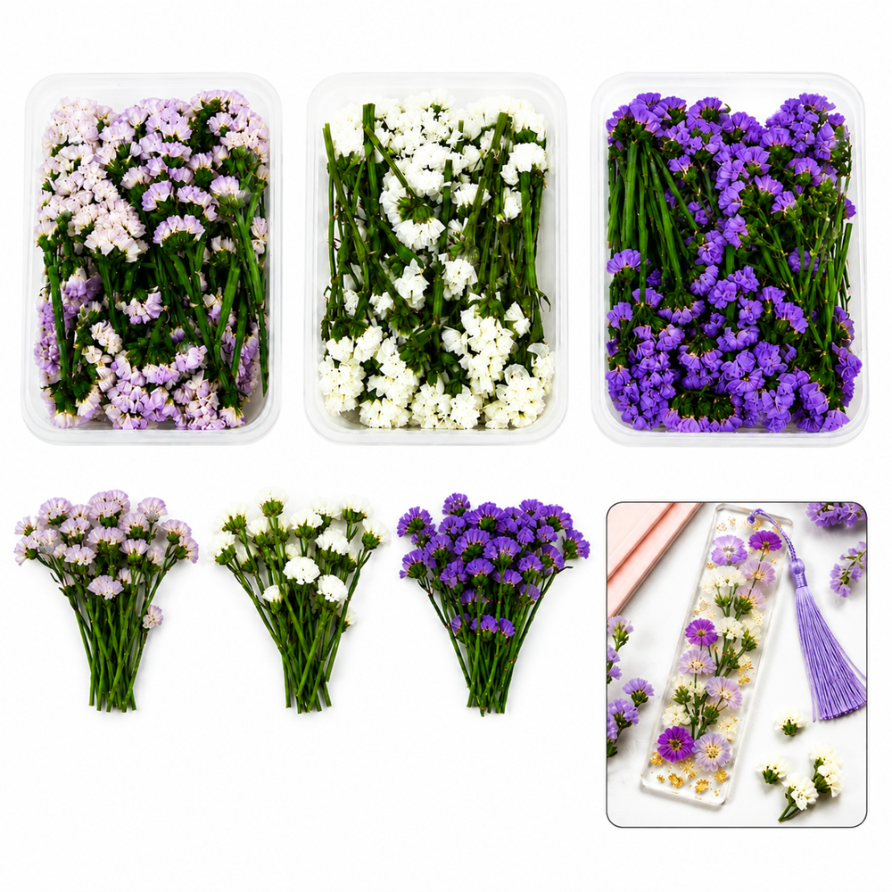 Dried Mini Statice Flowers