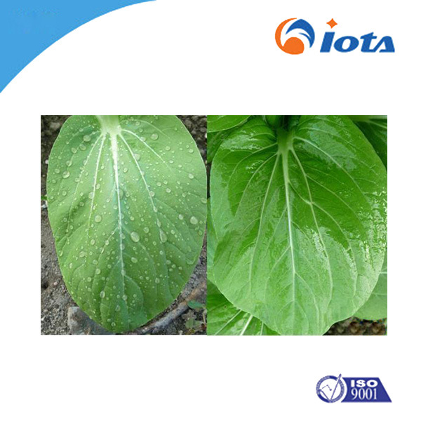 IOTA2001 Powder Agricultural Silicone Synergist
