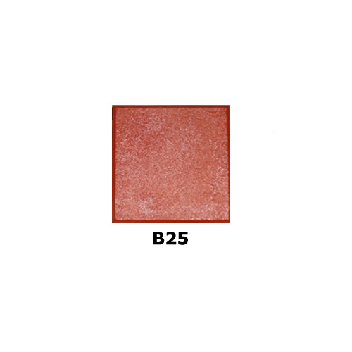 B25 Paver Brick