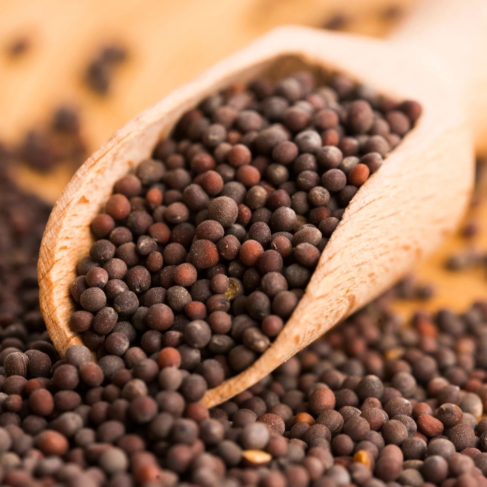 Organic Mustard Seeds