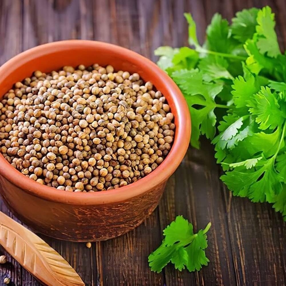 Organic Coriander Seeds