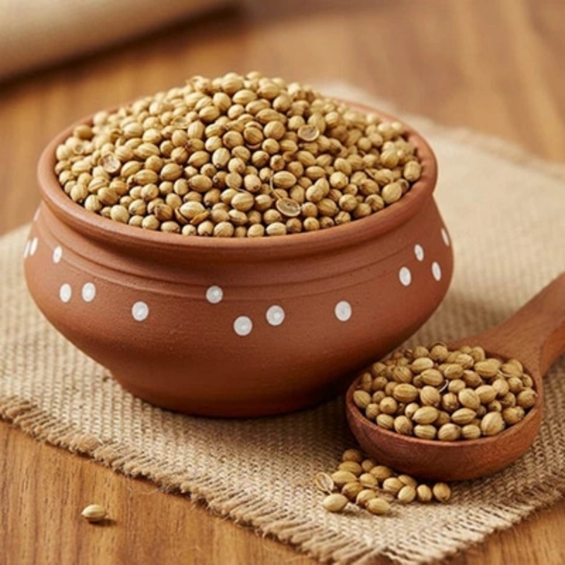 Organic Coriander Seeds