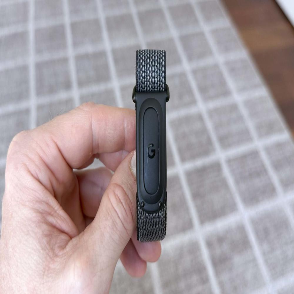 Google Fitbit Air - Frame Material: Pc