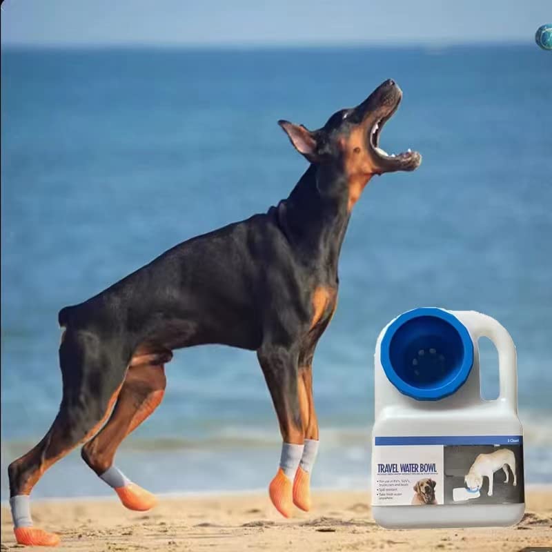 Dog Travel Water Bottle - 3 Liter - Water Resistant: No