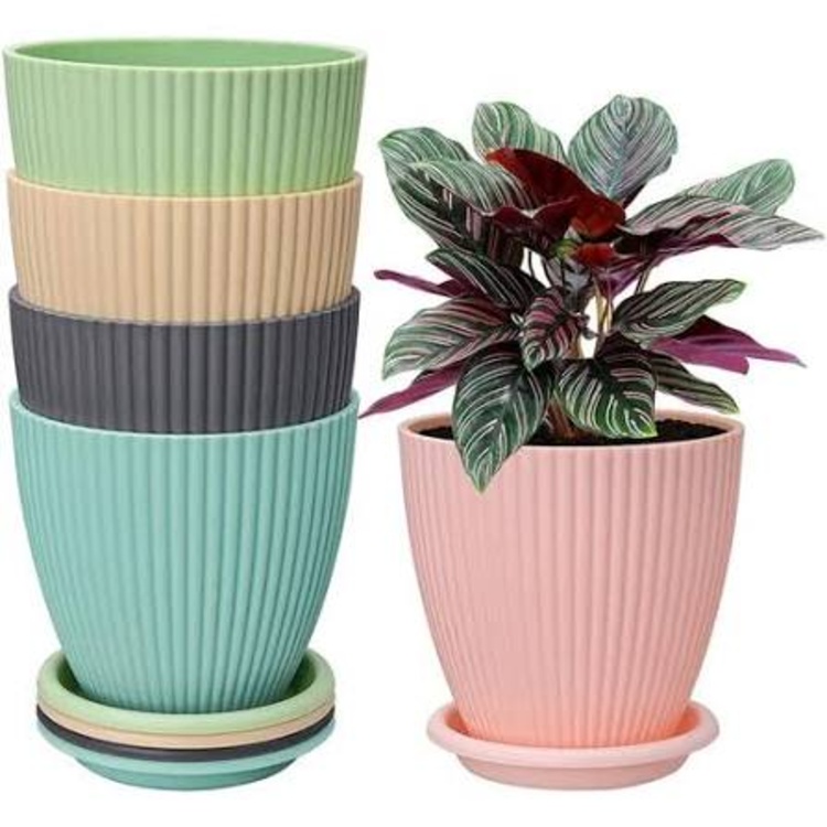 Fibre Pots