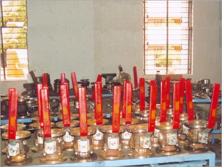 65 FB 2 PC Ball Valves F-E