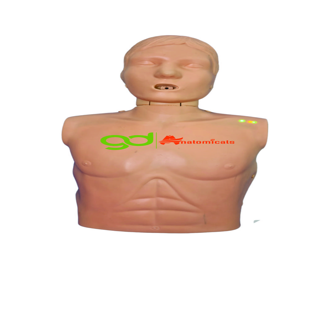 Cpr Manikins - High-quality Pvc Material, Standard Style For Adult Education, Natural Color, Durable And Lightweight Design