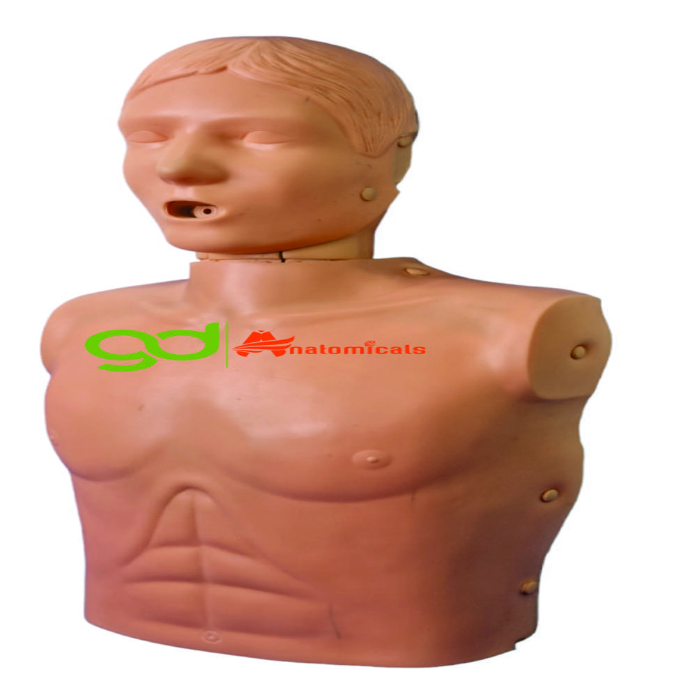 Cpr Manikins - High-quality Pvc Material, Standard Style For Adult Education, Natural Color, Durable And Lightweight Design