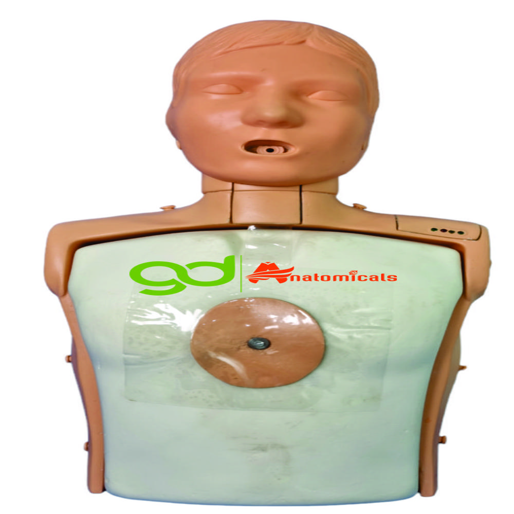 Cpr Manikins - High-quality Pvc Material, Standard Style For Adult Education, Natural Color, Durable And Lightweight Design