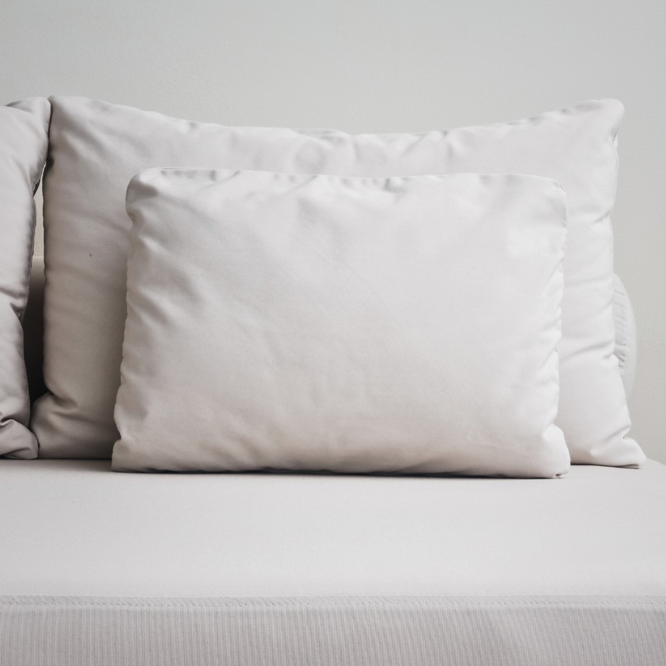 Pillow Protector