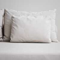 Pillow Protector