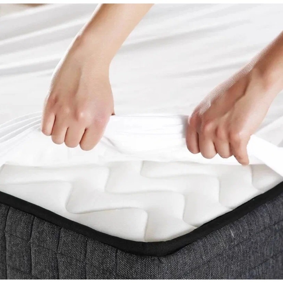 Mattress Protector