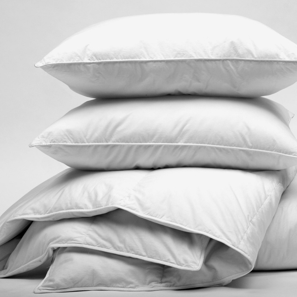 Premium Comfort Pillow
