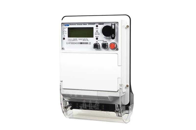 ER300P Meter