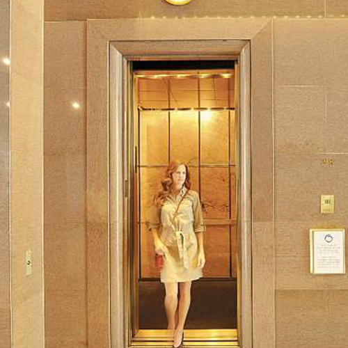 Automatic Passenger Elevator