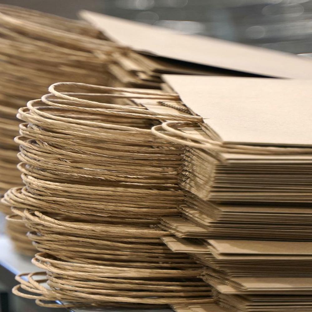 Paper Bags with Customization Option