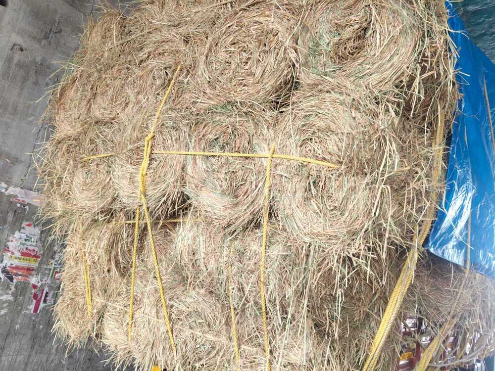Paddy Straw