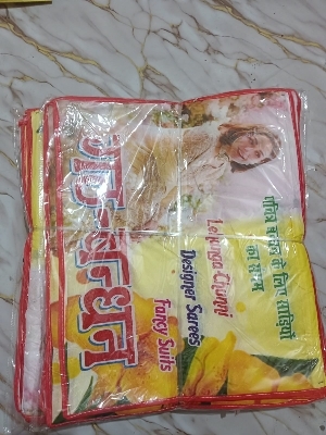 Premium Transparent Saree Storage Bag