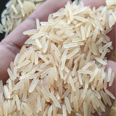 1509 Golden Sella Basmati Rice