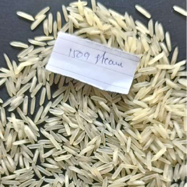 1509 Steam Basmati Rice