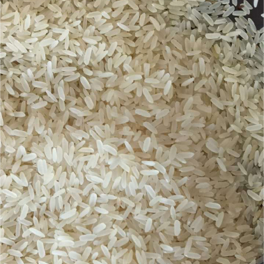 IR 64 Rice