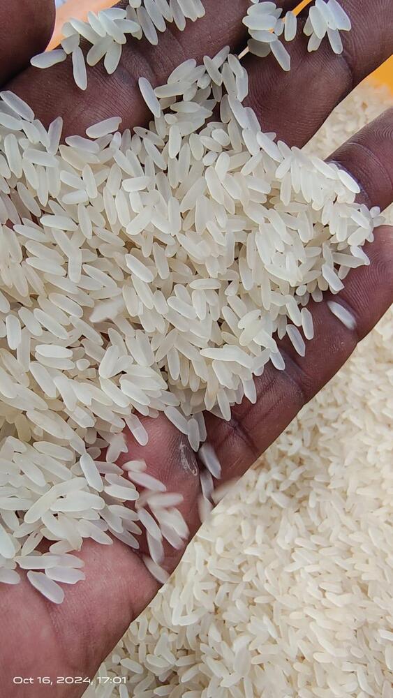 Ir 64 Rice