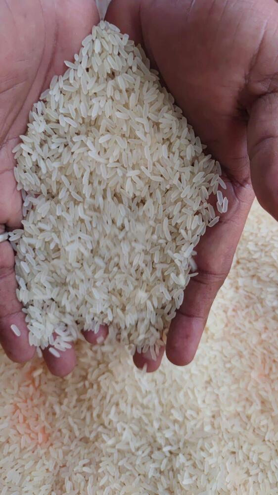 Ir 64 Rice