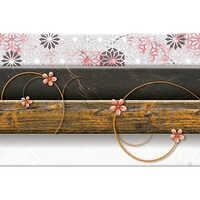 300x450mm 244HL1 Glossy Wall Tiles