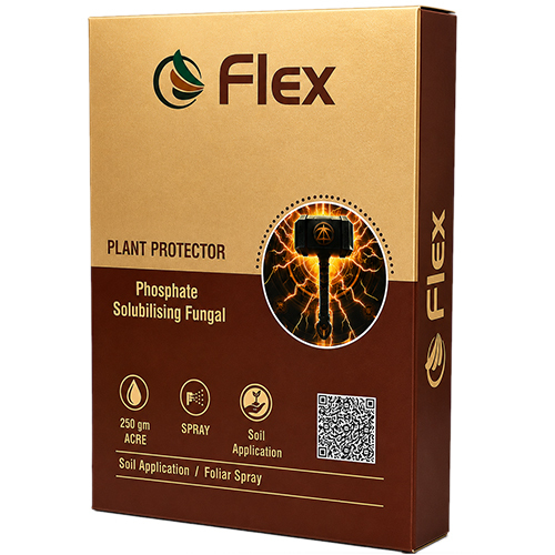 Flex Phosphate Solubilising Fungal Flex Phosphate Solubilising Fungal