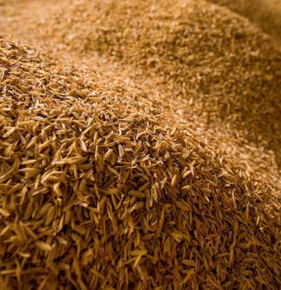 Rice Bran