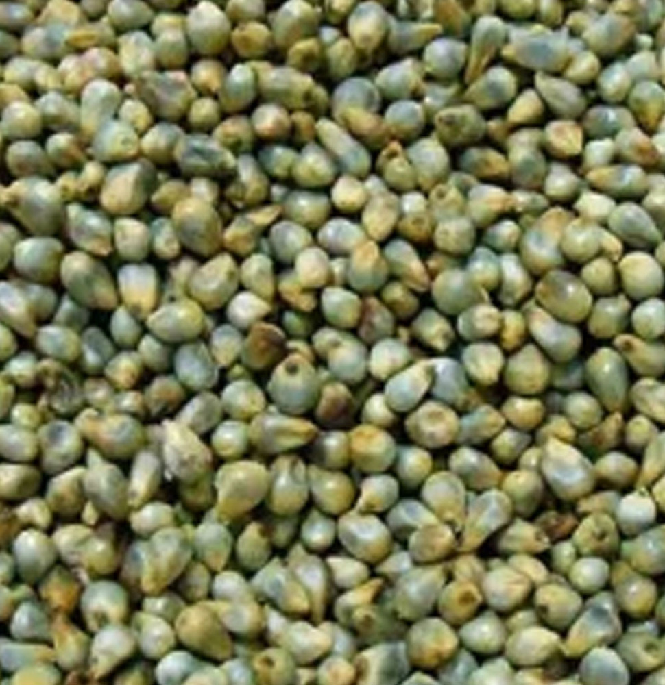 Green Milets