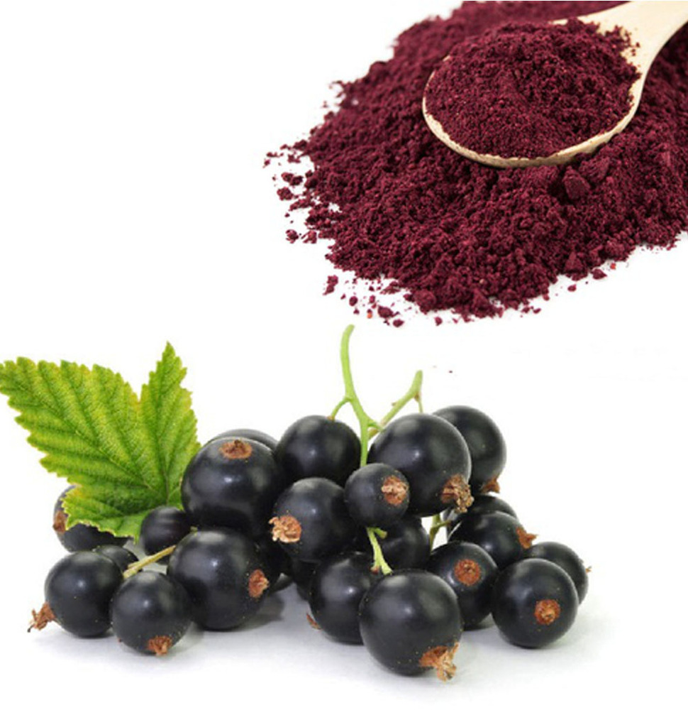Black Currant Juice Powder