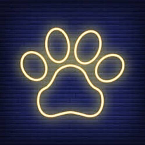 Acrylic Dog Paw LED Sign Board