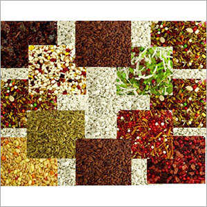 मुख ताजा करने वाला