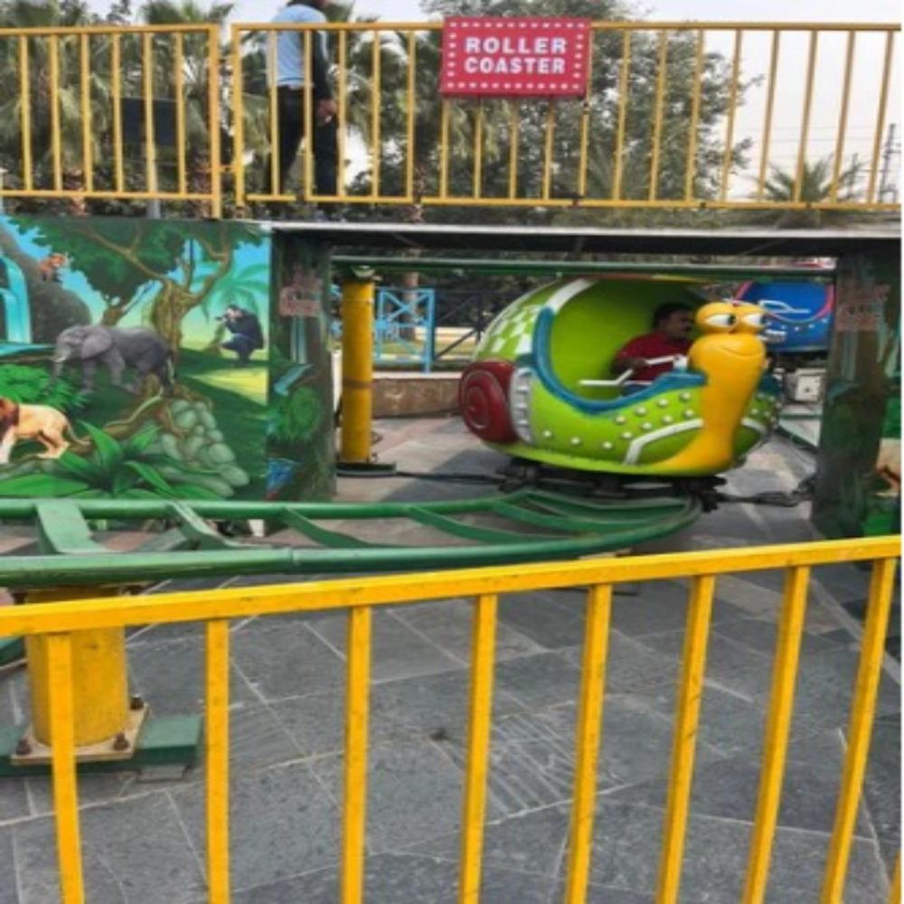 Roller Coaster Ride