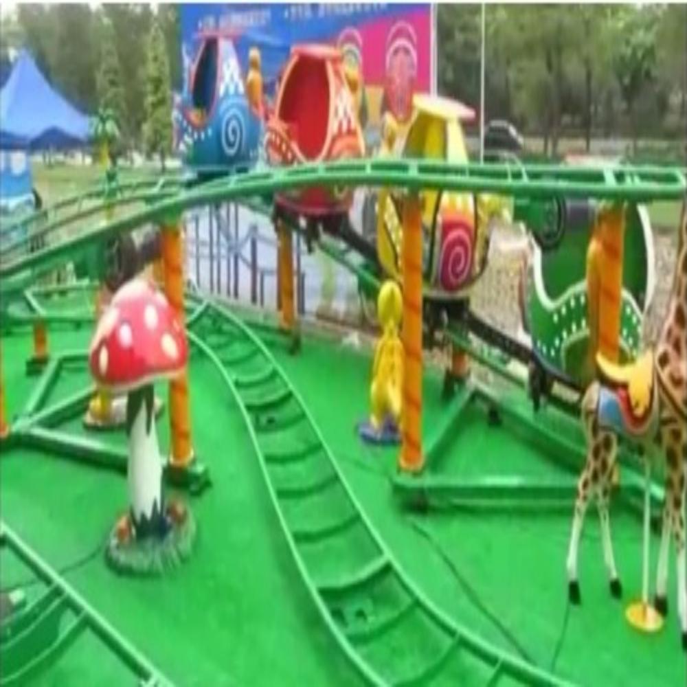 Roller Coaster Ride