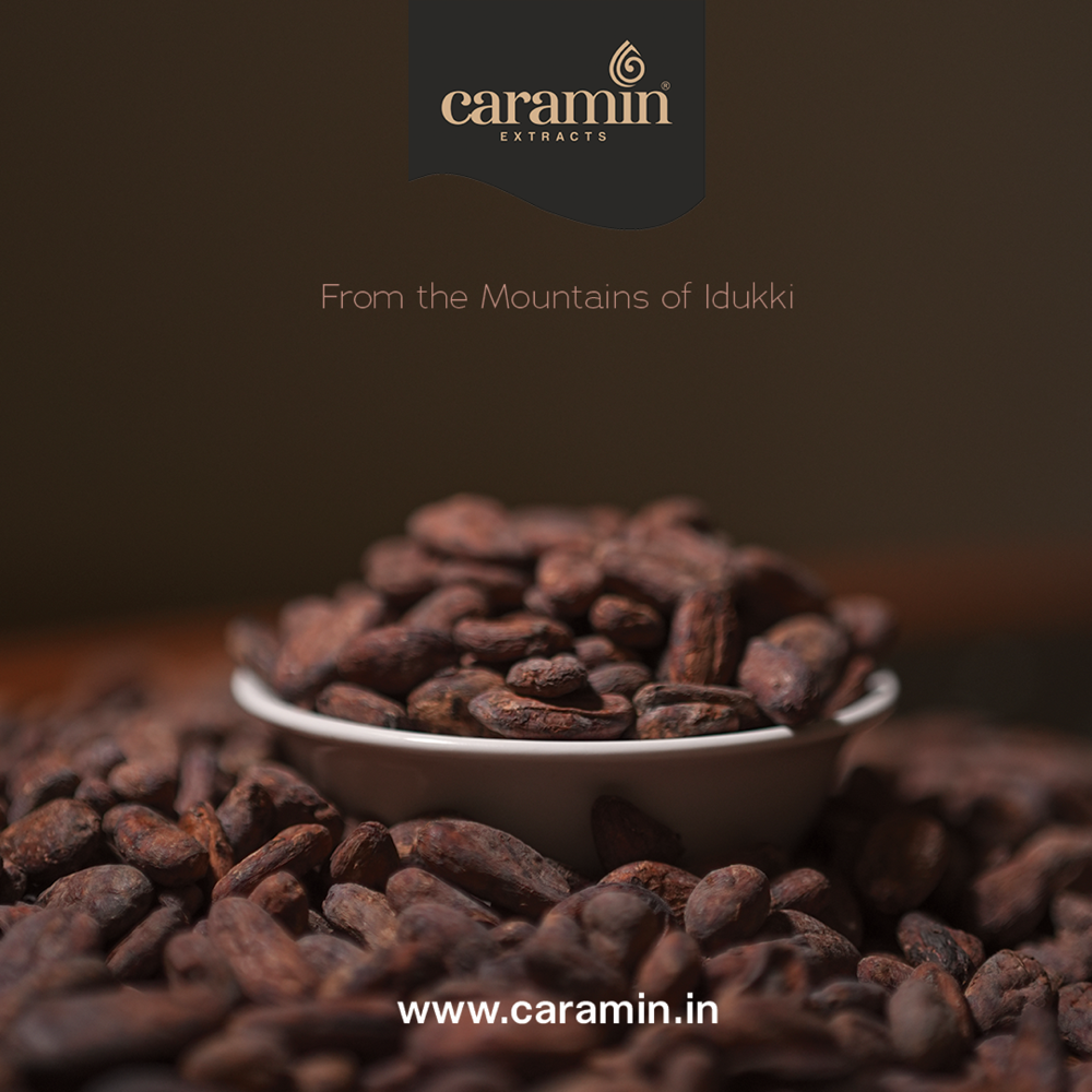 Cocoa Beans - Application: Chocolate