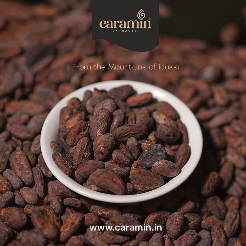 Cocoa Beans - Application: Chocolate