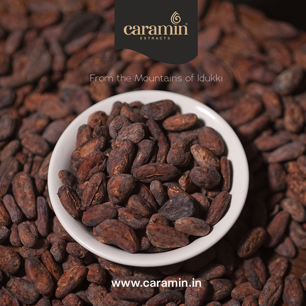 Cocoa Beans - Application: Chocolate