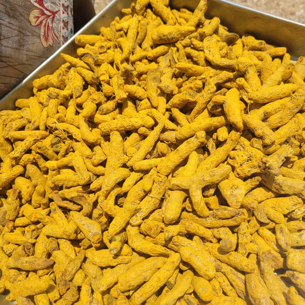 Turmeric
