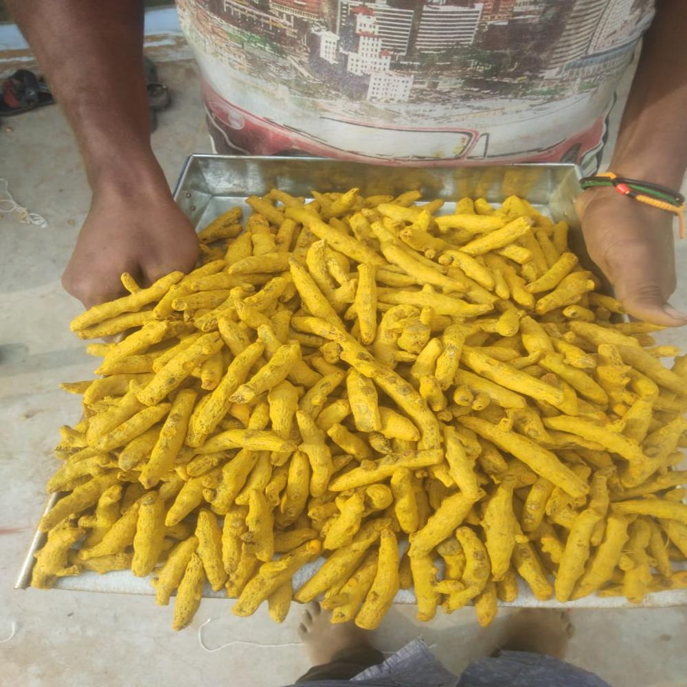 Turmeric
