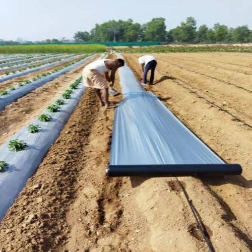 Mulching Paper