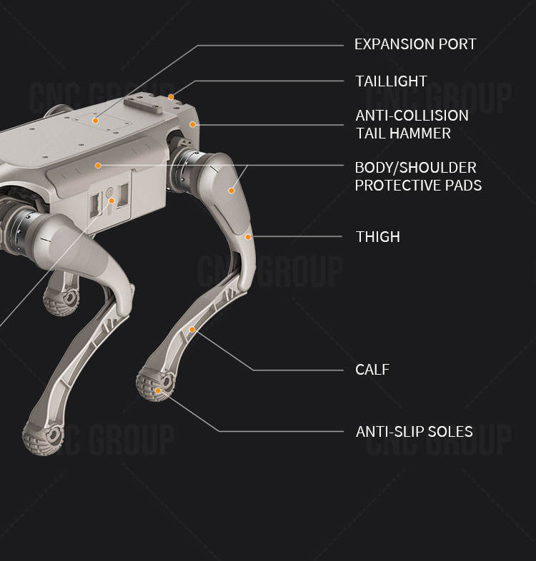 Patrol Dog Robot