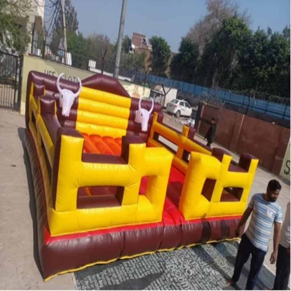 Mechanical Bull Ride